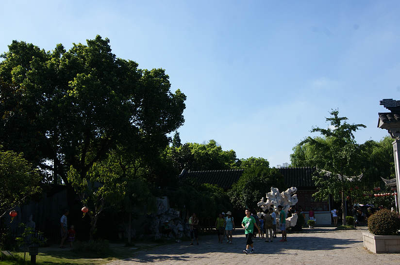 dsc01249.jpg