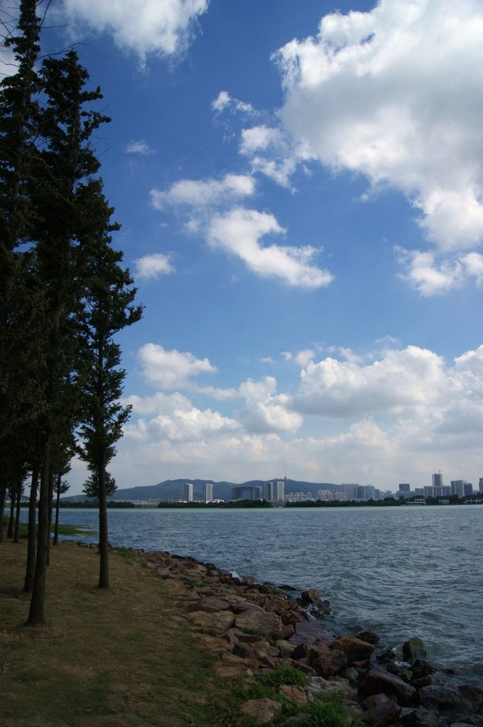 dsc01346.jpg
