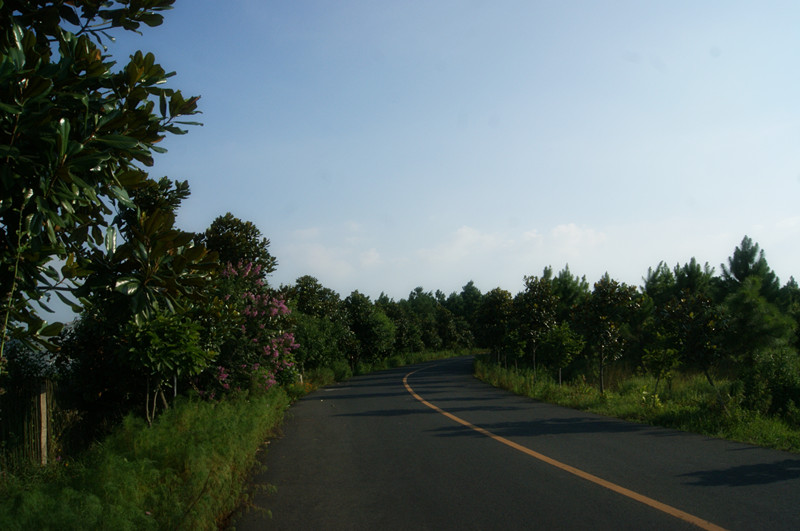dsc01433_����.jpg