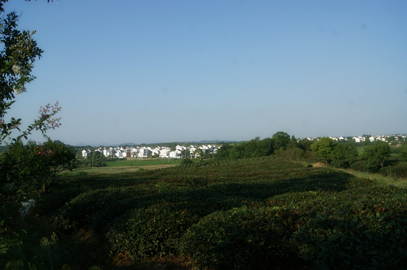dsc01436_����.jpg