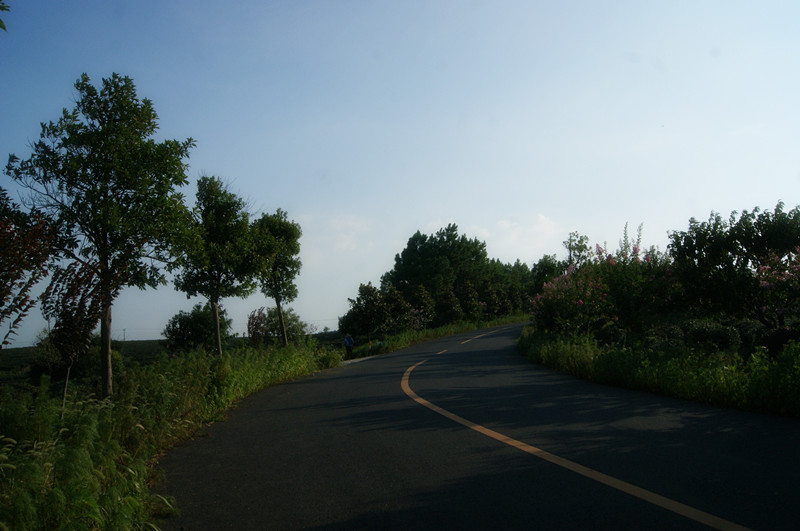 dsc01435_����.jpg