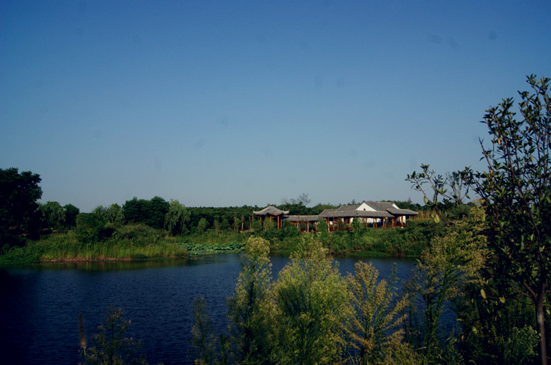 dsc01452_����.jpg