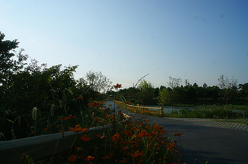 dsc01458_����.jpg