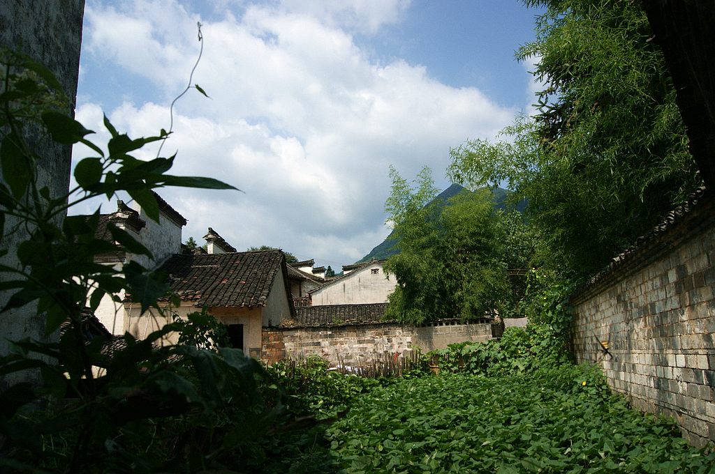 dsc01648.jpg