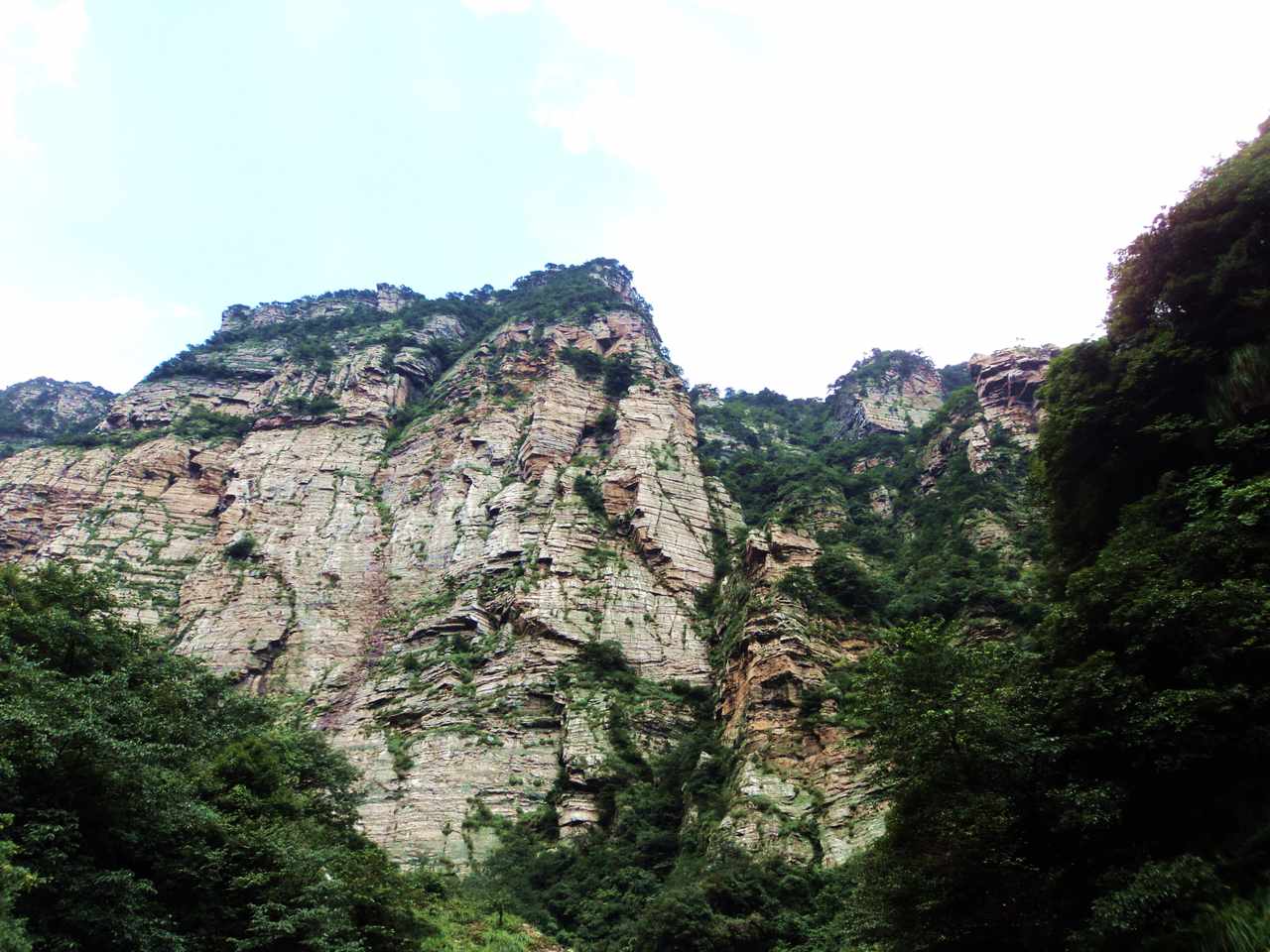dsc07026.jpg