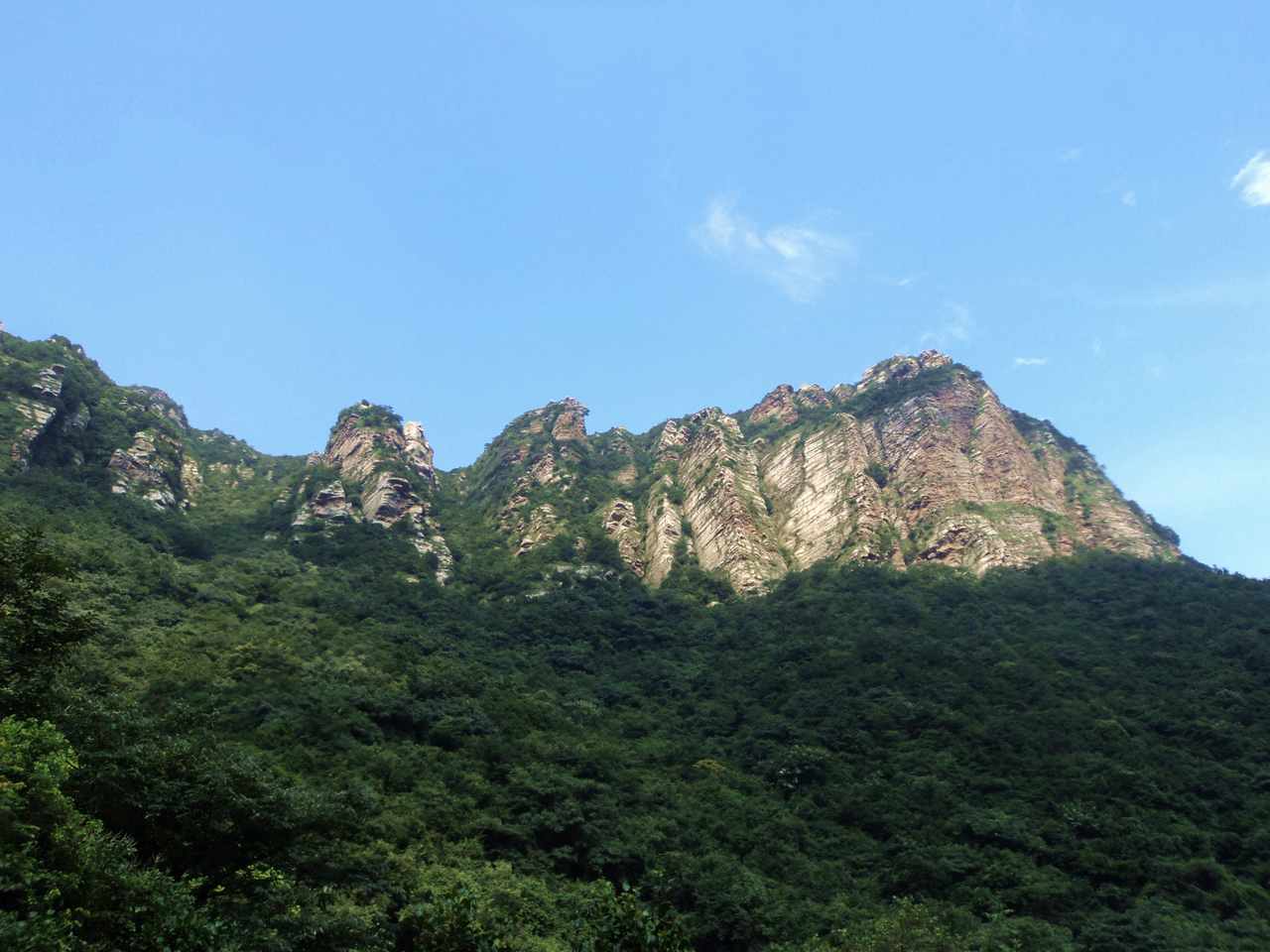 dsc07081.jpg