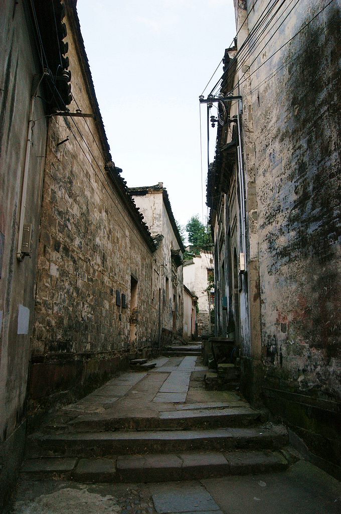 dsc01732.jpg