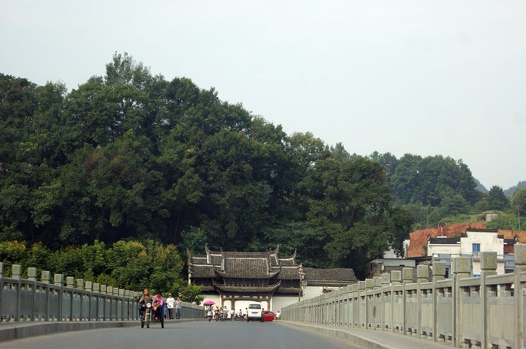 dsc01787.jpg