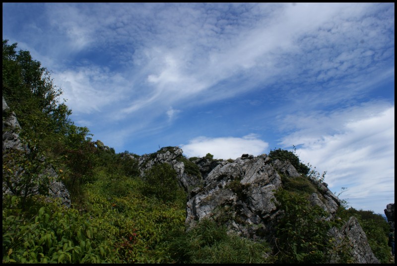 conew_dsc01199.jpg
