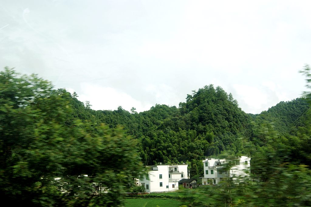 dsc00066.jpg