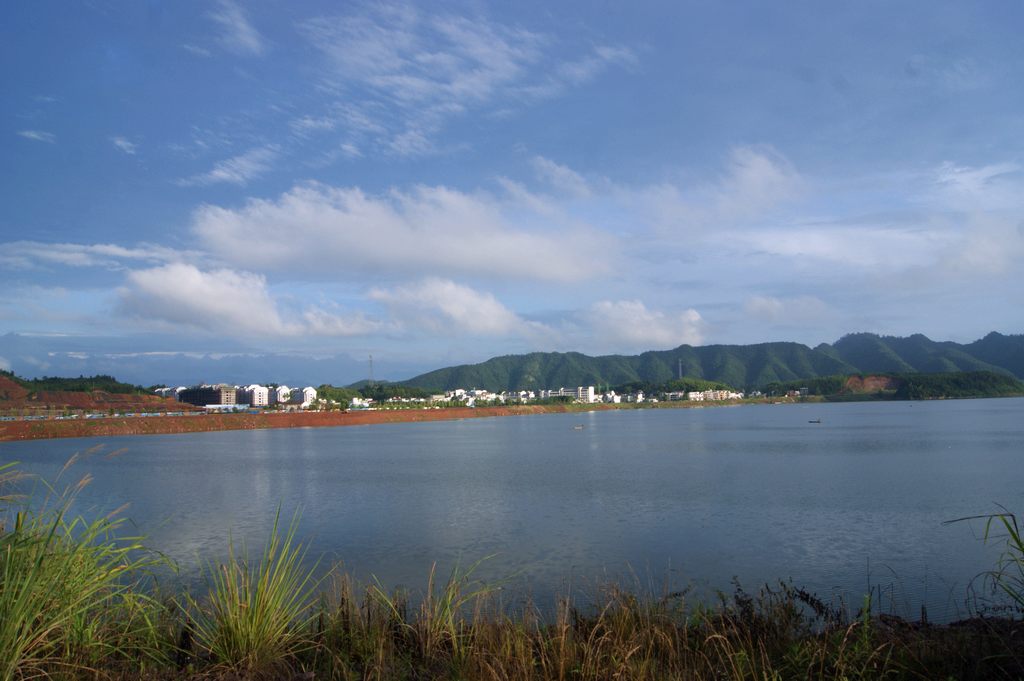 dsc00159.jpg