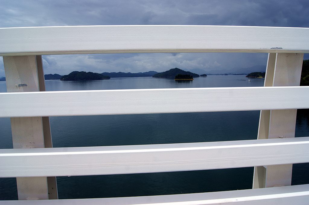 dsc00317.jpg