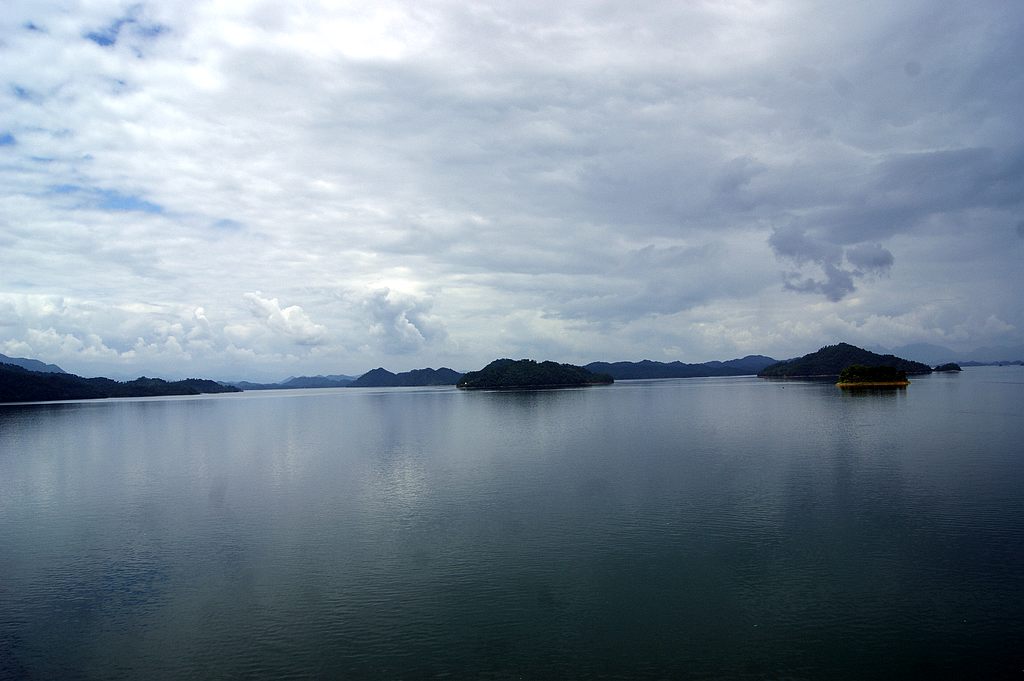 dsc00318.jpg