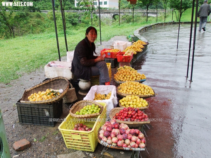 DSCF8412.JPG