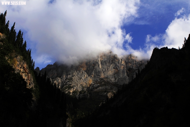 nEO_IMG__MG_0725.jpg