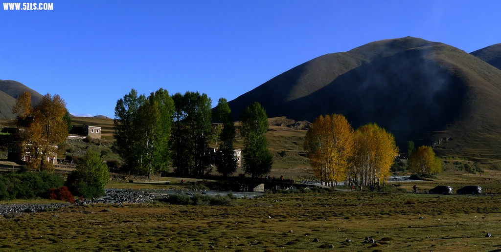P1160023-16.jpg