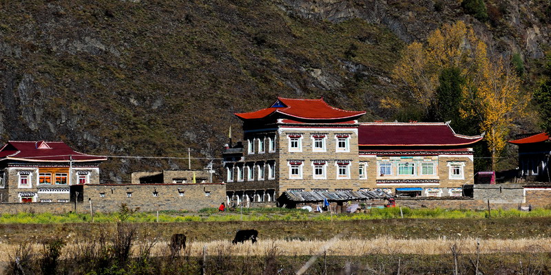 IMG_1140_缩小大小.jpg