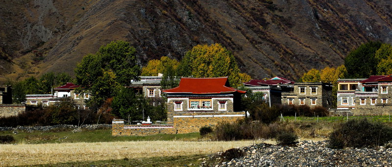 IMG_1141_缩小大小.jpg