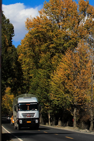 IMG_1563_СС.jpg