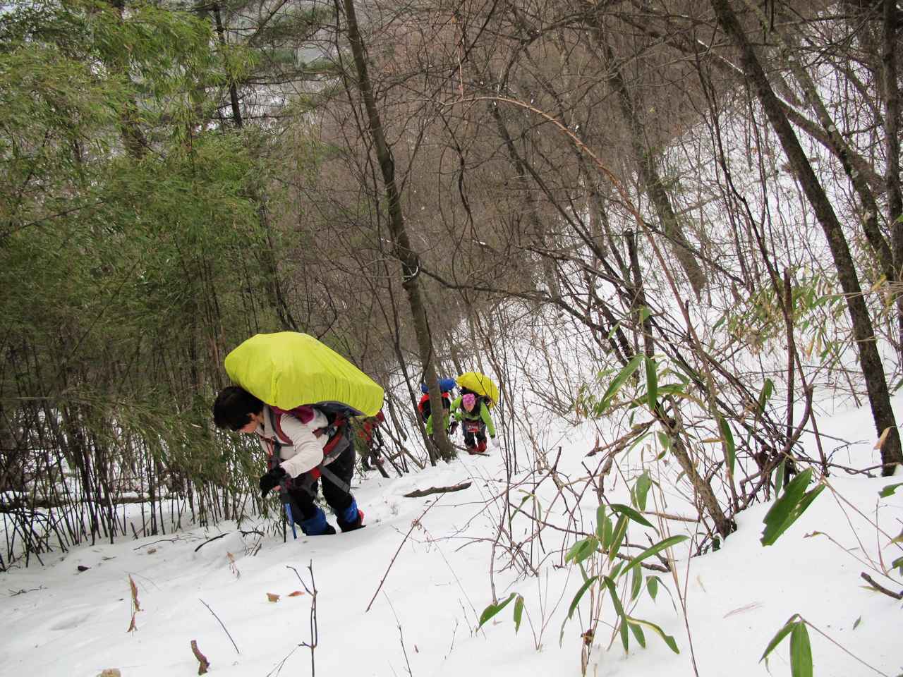 2013.1. 160.jpg