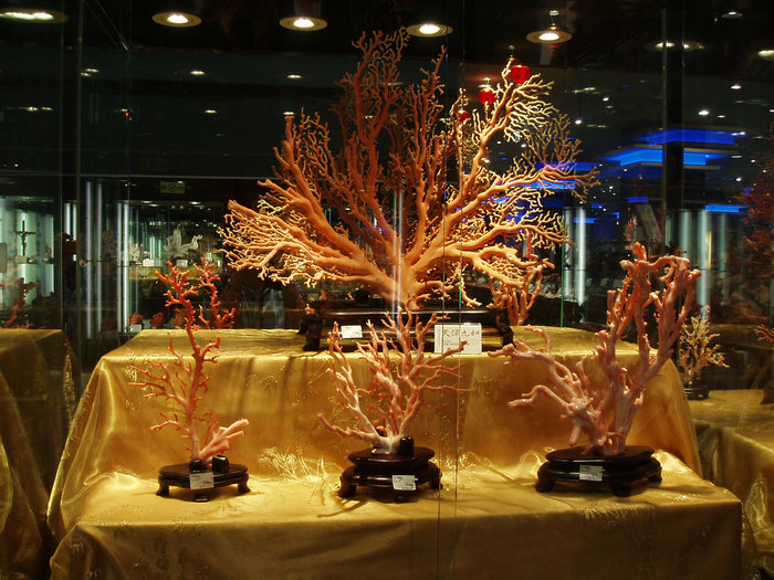p1010087.jpg
