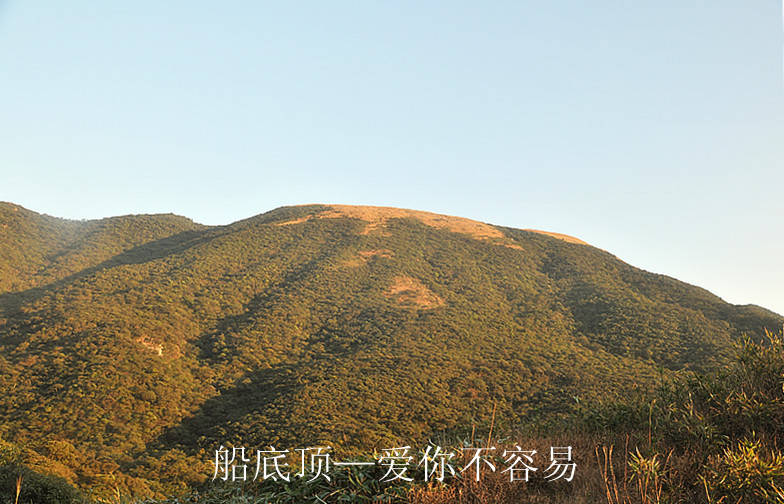 dsc_8095_����.jpg