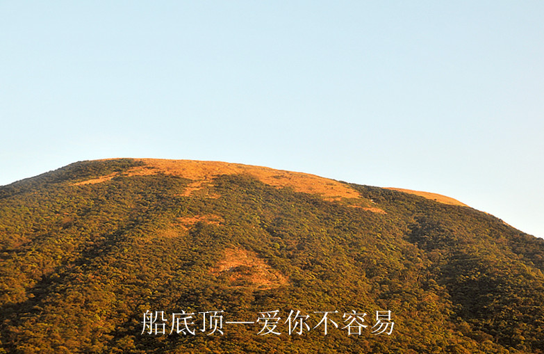 dsc_8096_����.jpg