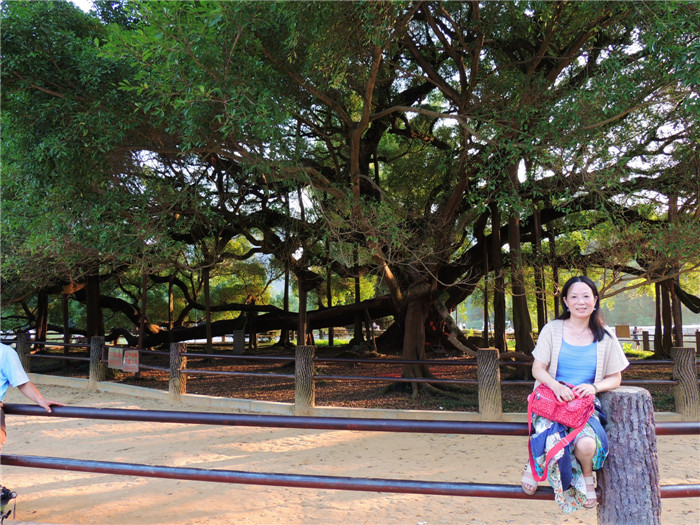 dscn3785_����.jpg