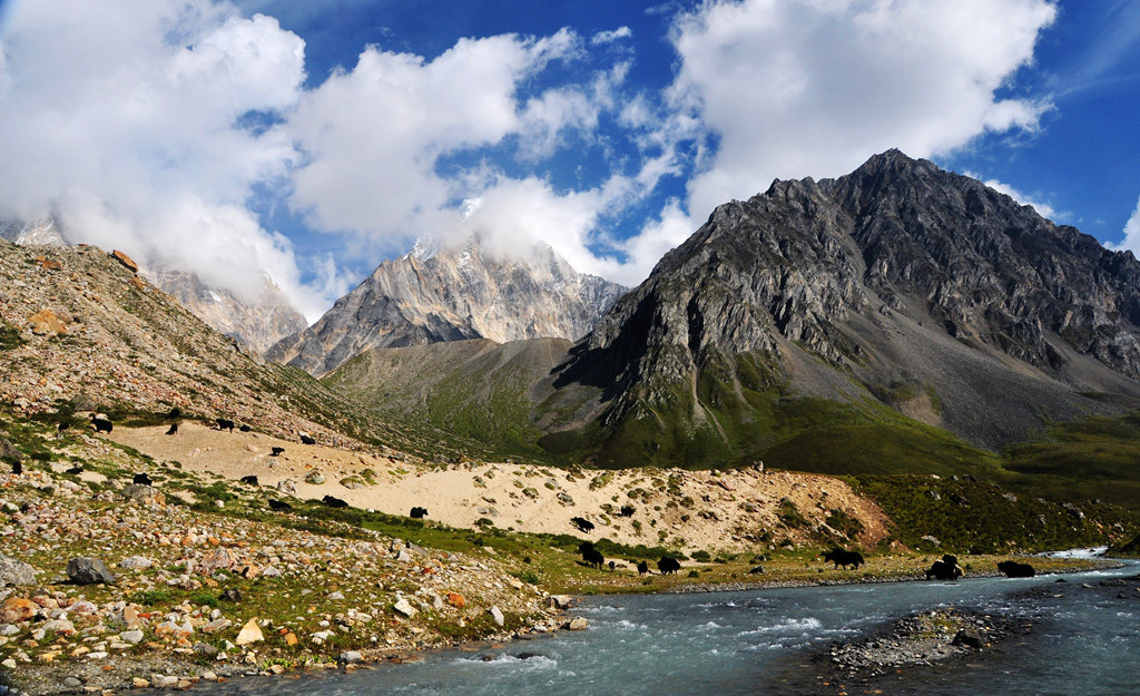 dsc_0345a.jpg