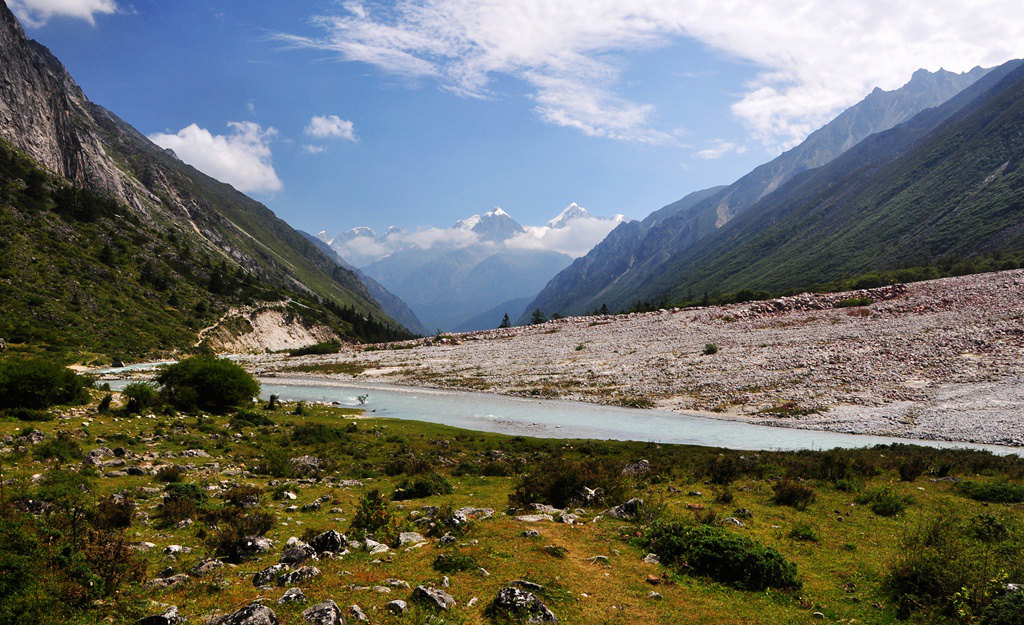 dsc_0220a.jpg