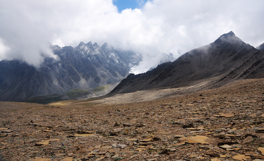 dsc_0618a.jpg