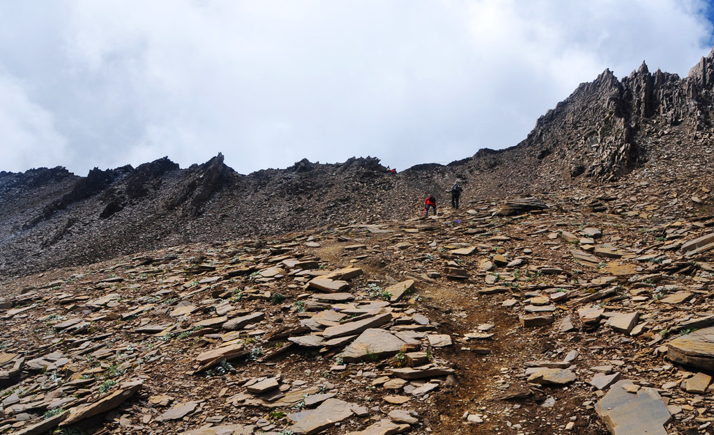 dsc_0620a.jpg