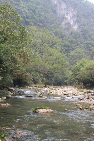 qqͼƬ20131011202436.jpg