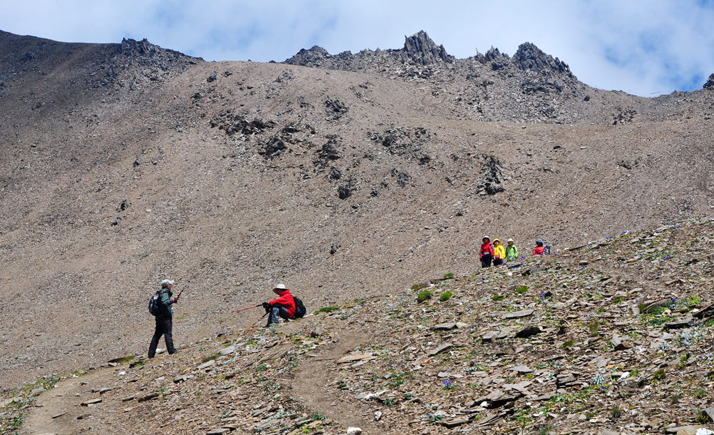 dsc_0642a.jpg