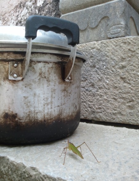 qqͼƬ20131013142419.jpg