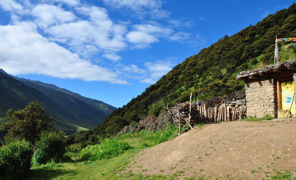 dsc_0793a.jpg