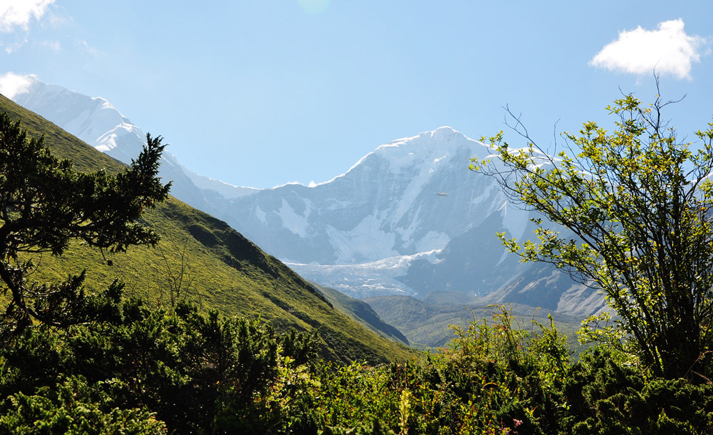 dsc_0830a.jpg