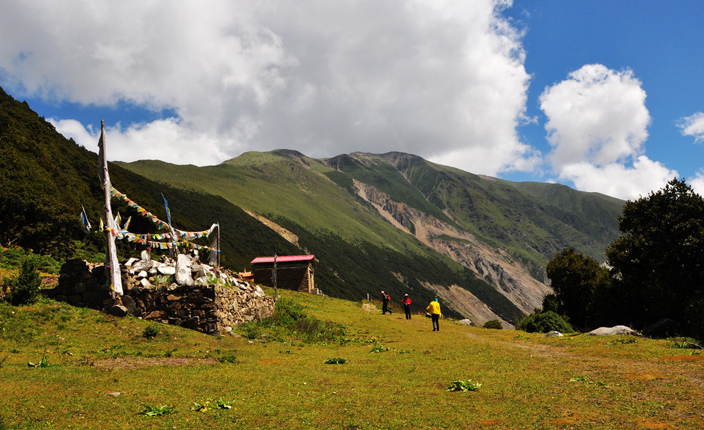 dsc_0080a.jpg