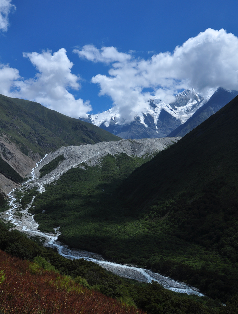 dsc_0110a.jpg