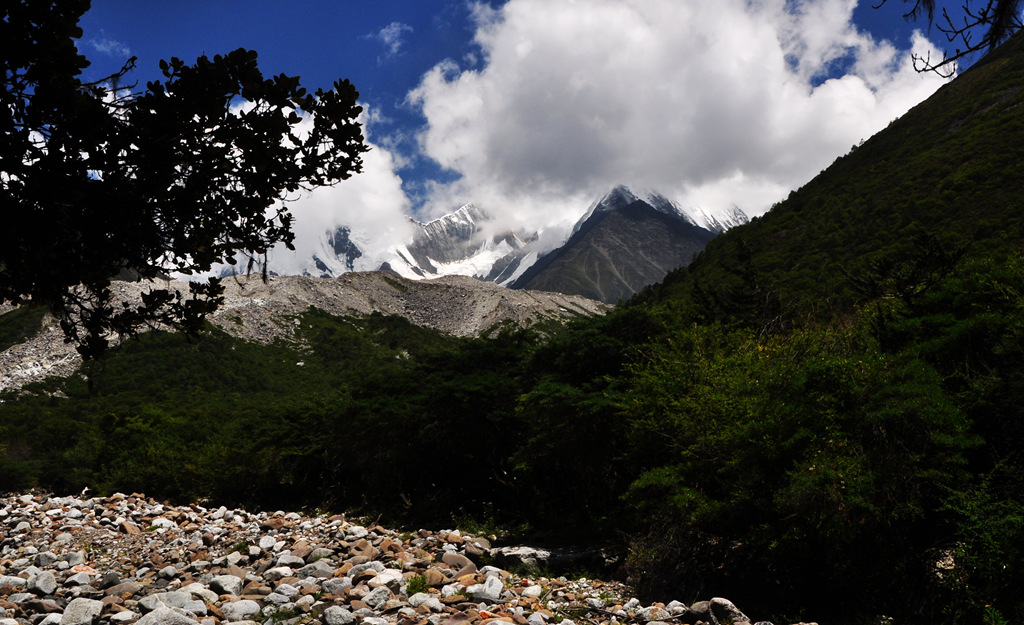 dsc_0199a.jpg