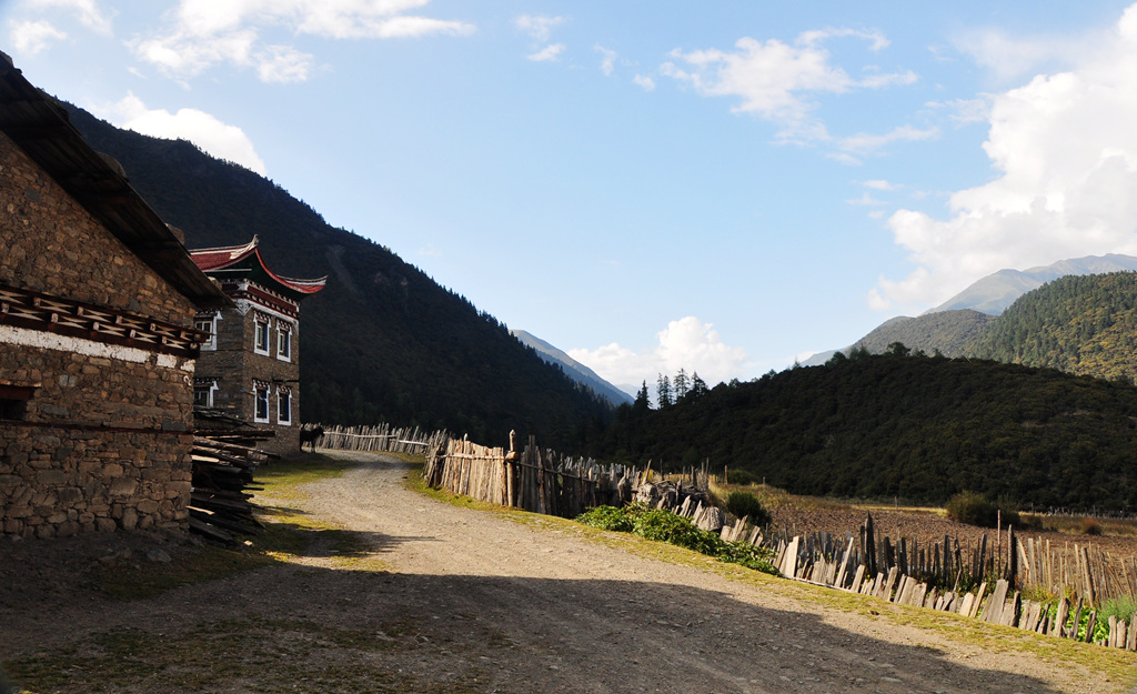 dsc_0304a.jpg