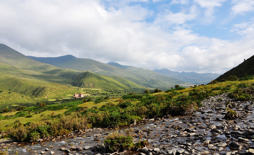 dsc_0358a.jpg