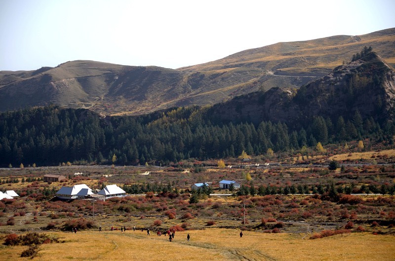 158.jpg