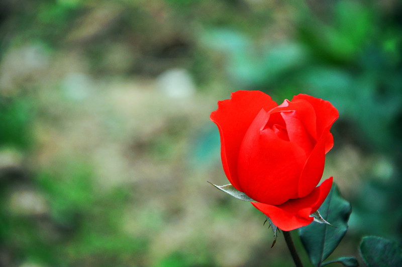 dsc_0256_����.jpg