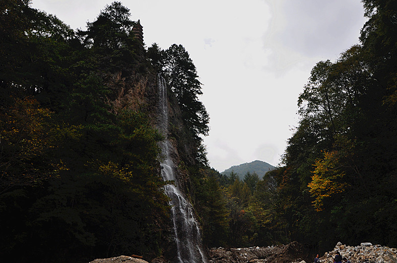 dsc_0262_����.jpg