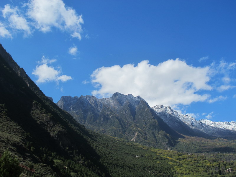 img_1347.jpg