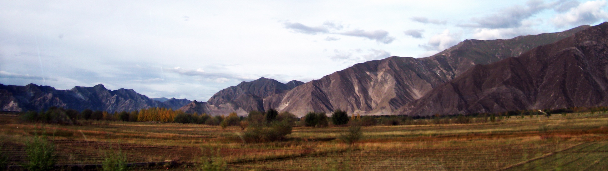dscf0695.jpg