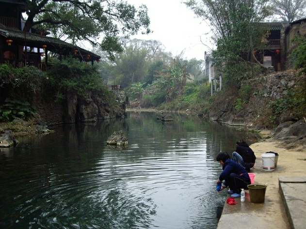 imgp5619.jpg