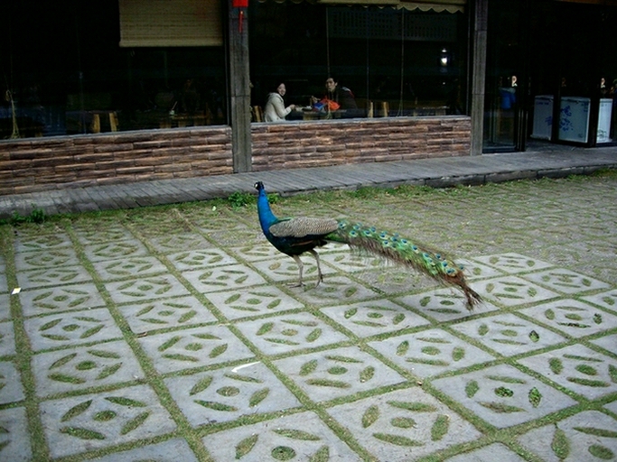 imgp5887.jpg
