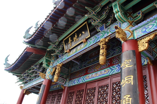 neo_img_dpp_����20503.jpg
